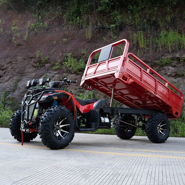 UTV Veículo off-road todo terreno UTV